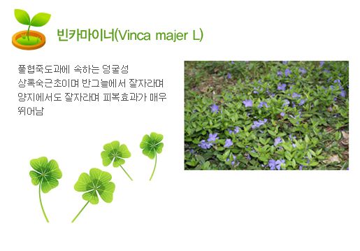 4월 - 빈카마이너